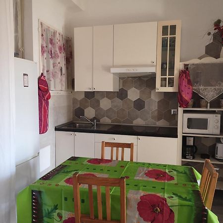 Apartment Palais De Coppet 尼斯 外观 照片